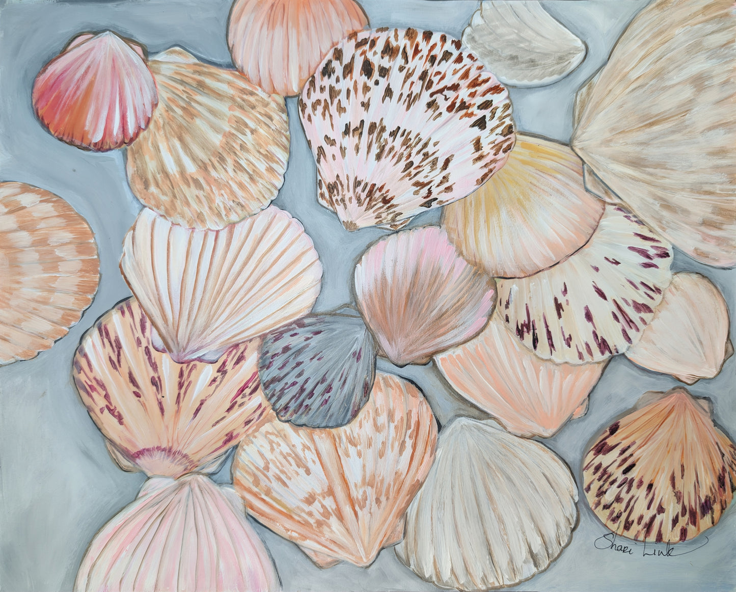 Shell Hunt